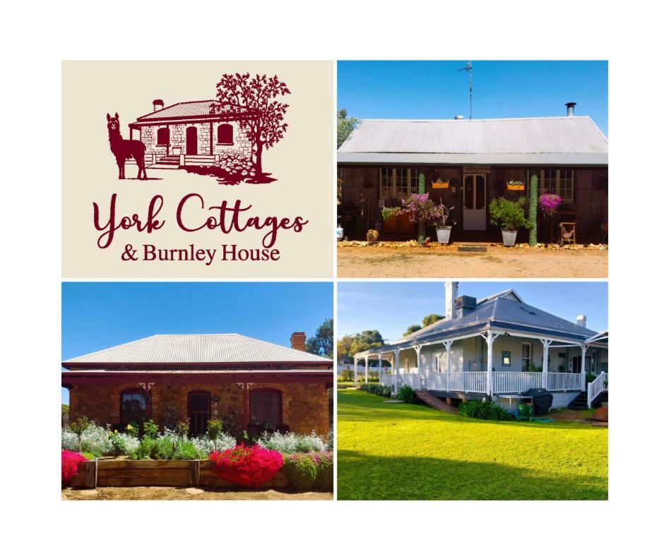 York Cottages And Burnley House Extérieur photo